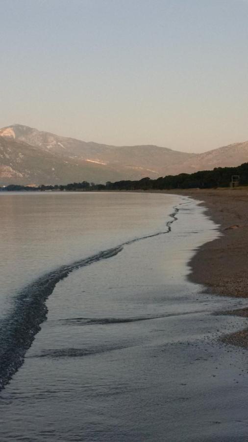 Seaside Glow Schinias Dış mekan fotoğraf