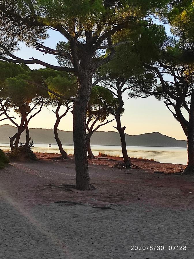 Seaside Glow Schinias Dış mekan fotoğraf