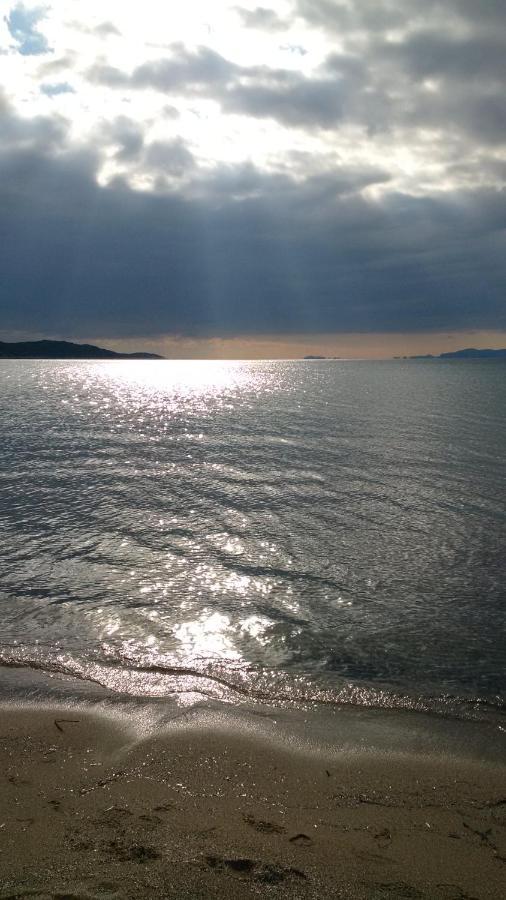 Seaside Glow Schinias Dış mekan fotoğraf
