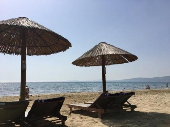 Seaside Glow Schinias Dış mekan fotoğraf