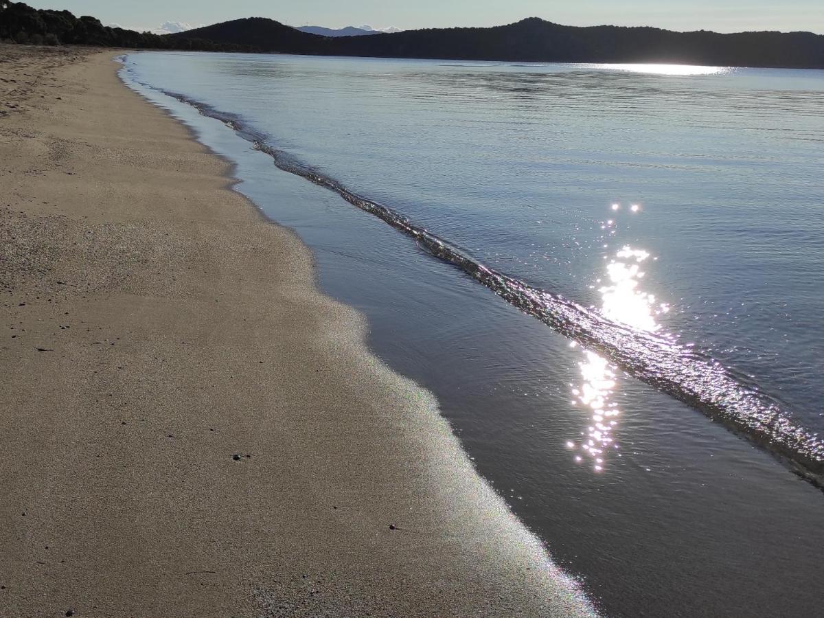 Seaside Glow Schinias Dış mekan fotoğraf